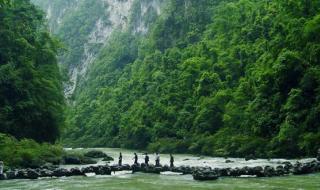 锁区是什么意思 锁区是什么意思