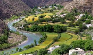 新西兰留学中介