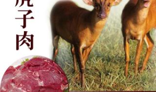 狍子肉咋做好吃 狍子肉咋做好吃