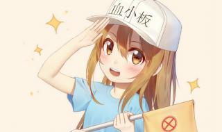 雨后的小故事图 雨后的小故事图