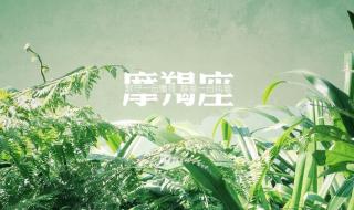 射手座的守护星座