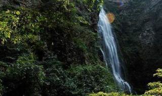 兔谐音四字吉祥语