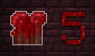 我的世界地狱疣 我的世界地狱疣