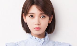 玉面小飞龙 玉面小飞龙