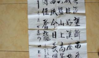 望断南飞雁 望断南飞雁