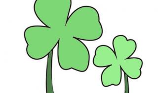 怎么画四叶草最好看 怎么画四叶草最好看