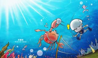 怎样表白成功率最高 怎样表白成功率最高