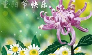 重阳节快乐合适吗 重阳节快乐合适吗