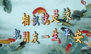 世上独一无二的你 世上独一无二的你