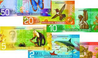 哥斯达黎加是白人吗 哥斯达黎加是白人吗