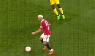 巴西队历届世界杯阵容